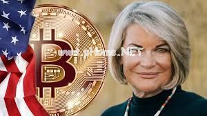 参议员卢米斯对加密行业监管立场发表强硬声明