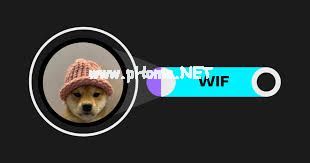 柴犬（SHIB）的爆炸性崛起证明了模因币在吸引投资者想象力和重塑加密货币格局方面的巨大潜力