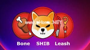 柴犬社区迎来历史性时刻——与Shib团队互动的开创性活动全面揭秘