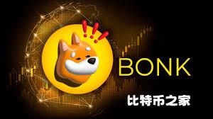 Raboo代币为什么将超越BONK和Floki？