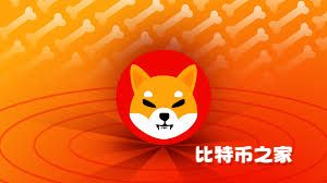 加密货币分析师分析SHIB未来前景，预测价格或上涨至1,000%至3,000%
